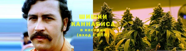 метадон Магас