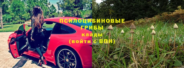 СК Надым