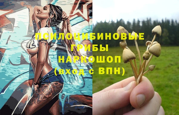 ALPHA-PVP Верея