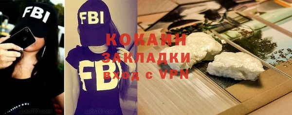 шишки Белоозёрский