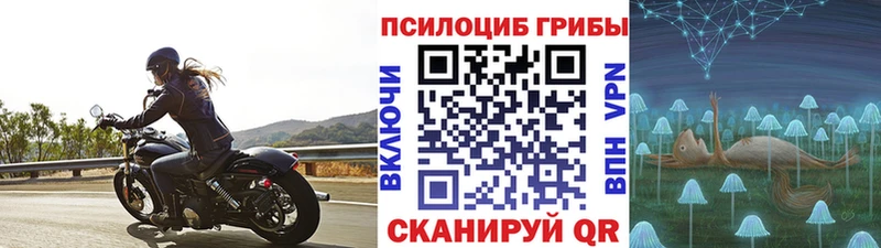 Галлюциногенные грибы прущие грибы  Воркута 