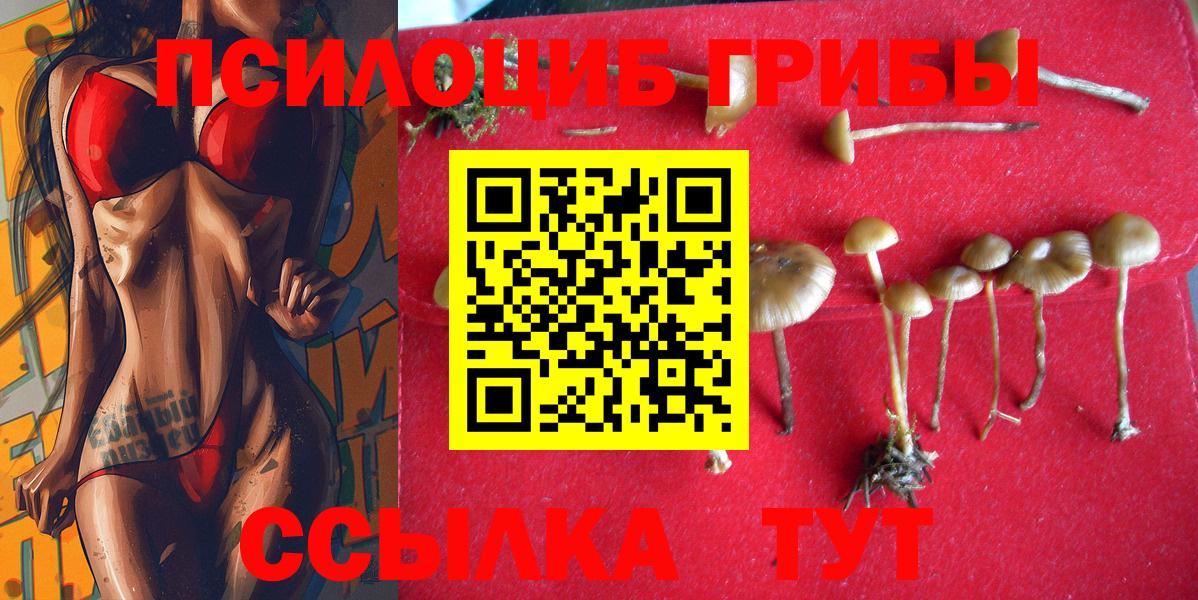 Воркута  Псилоцибиновые грибы Psilocybine cubensis  Вход с VPN 