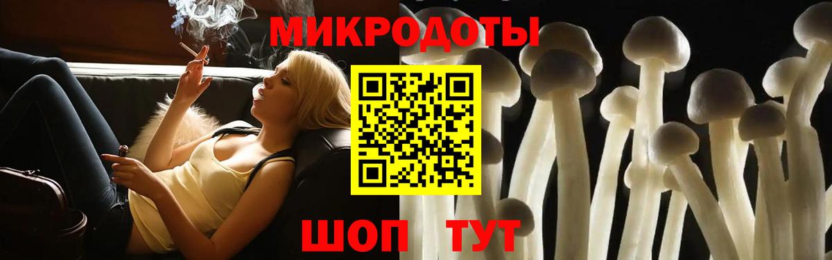 Псилоцибиновые грибы прущие грибы Воркута